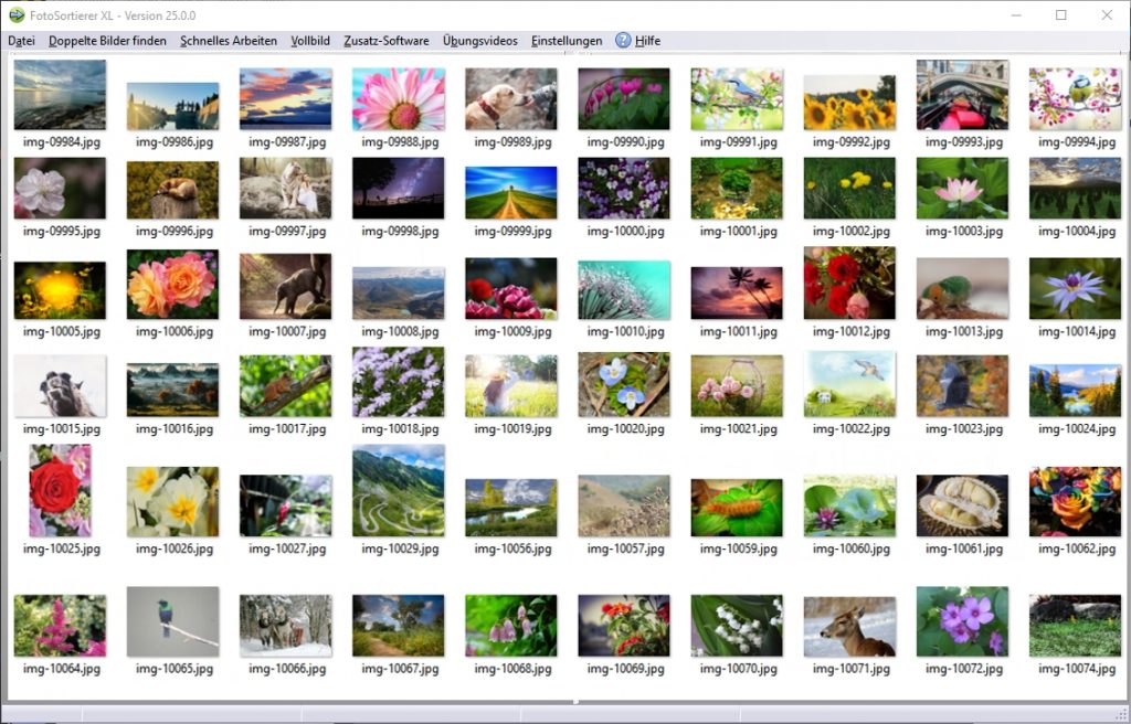 Programm zum Fotos Sortieren