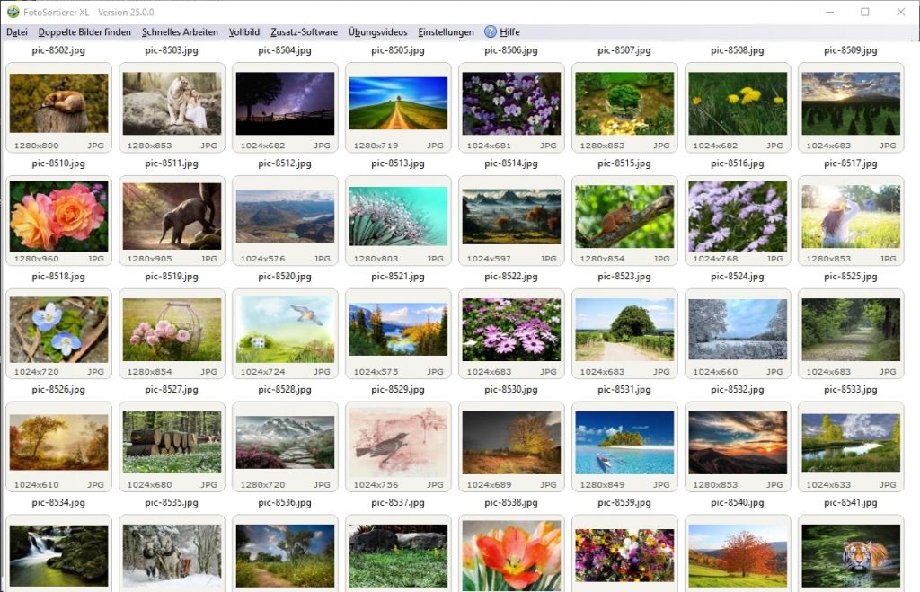 Programm zum Sortieren von Fotos