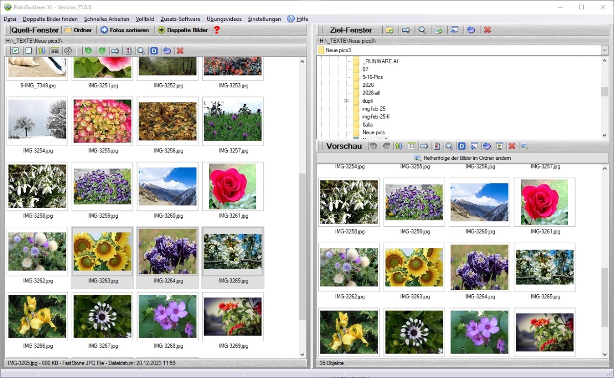 FotoSortierer XL: Vorschau beim Sortieren digitalisierter Fotos